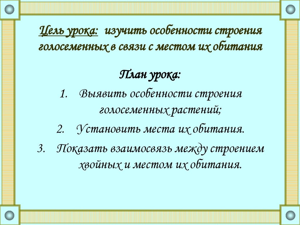 Виды ответов 6 класс презентация