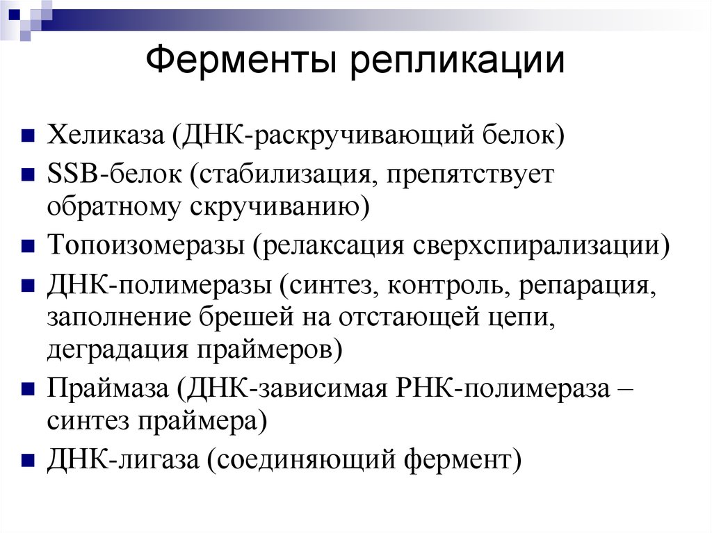 Фермент участвует в процессе. Ферменты участвующие в репликации и их функции. Ферменты участвующие в репликации ДНК. Ферменты при репликации ДНК. Ферменты репликации ДНК И их функции.