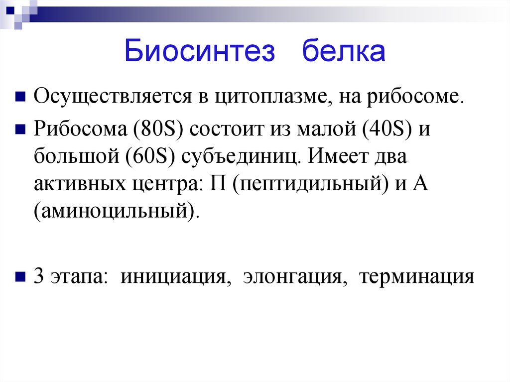 Биосинтез белка осуществляется. Биосинтез белка пептидильный. Субъединицами 60s и 40s. Регуляция белкового обмена. Гормональная регуляция белкового обмена.