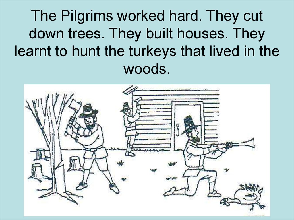 The Pilgrims worked hard. They cut down trees. They built houses. They learnt to hunt the turkeys that lived in the woods.