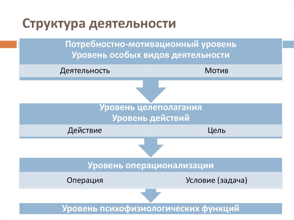 Структурные этапы деятельности