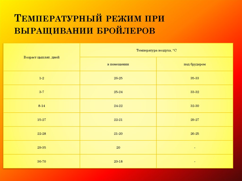 Температурный режим при поклейке обоев