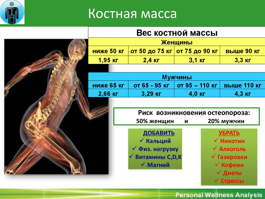 Вес мышц в теле человека. Масса мышц в организме. Мышечная масса человека норма. Процент мышц в организме. Нормальный процент мышечной массы.