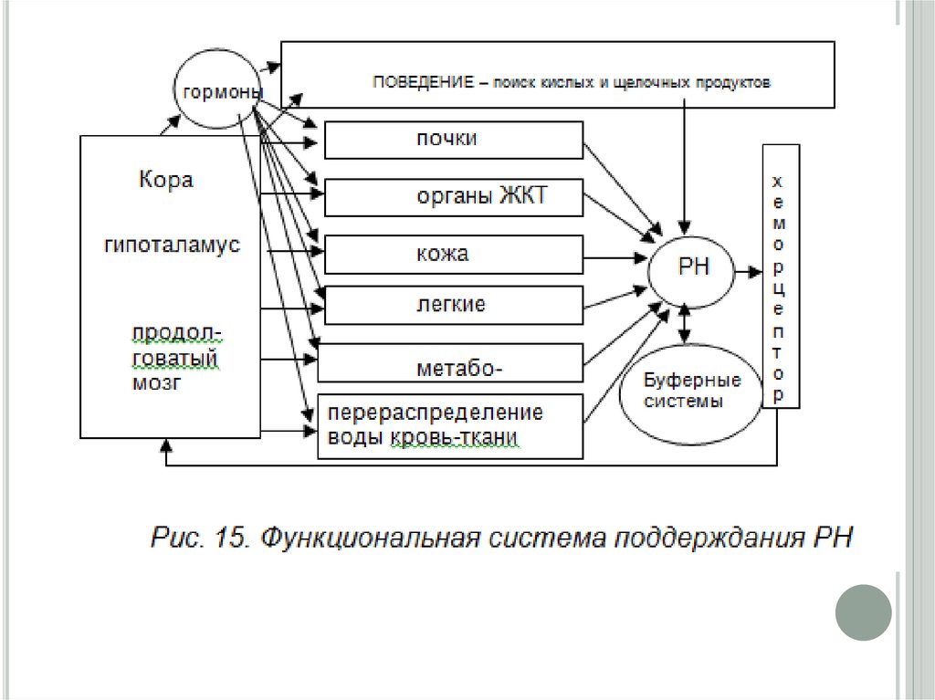 Поведение продукта