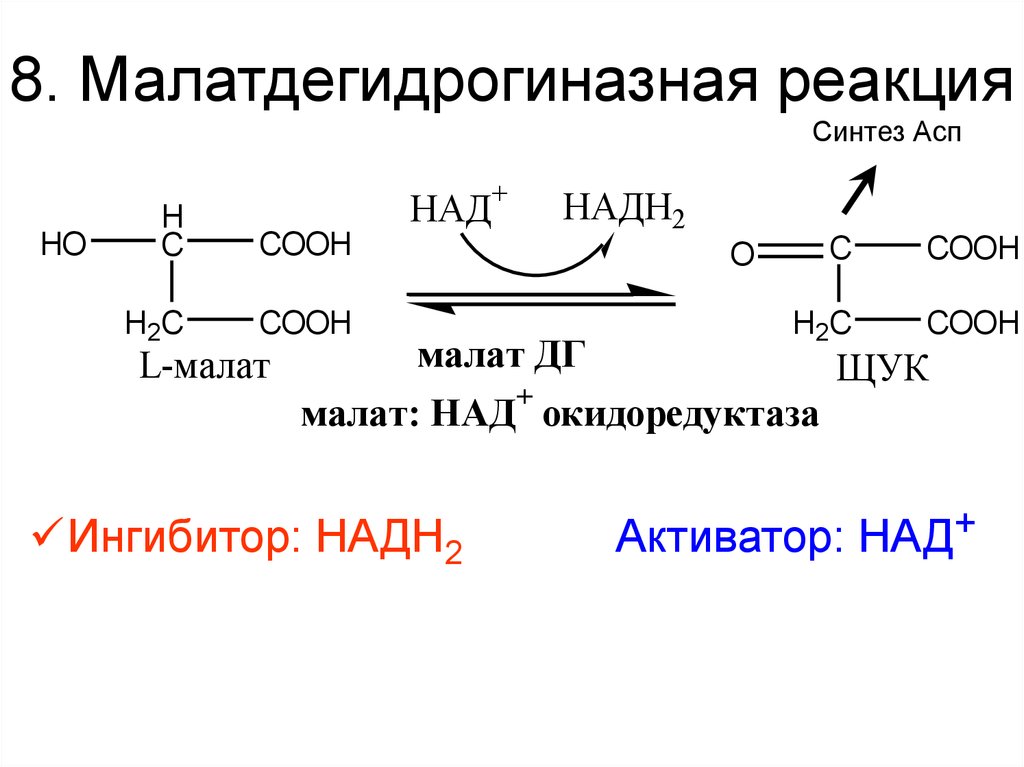 Заполните пропуски в схемах биохимических реакций с участием воды