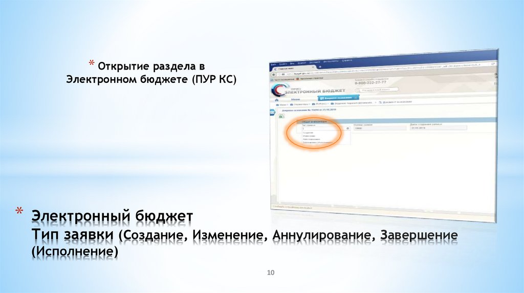 Открытие заявка. Электронный бюджет открытие разделов. Открыть раздел в электронном бюджете. Заявки через электронный бюджет. Лицевые счета в электронном бюджете.