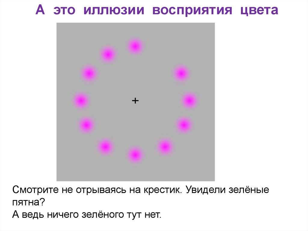 Разновидности иллюзий биология 8 класс презентация