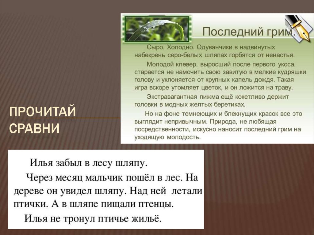 Прочитать сравнений. Весной Илья забыл в лесу шляпу. Илья забыл в лесу шляпу. Весной Митя забыл в лесу свою шляпу. Весной Илья забыл в лесу шляпу Главная мысль.