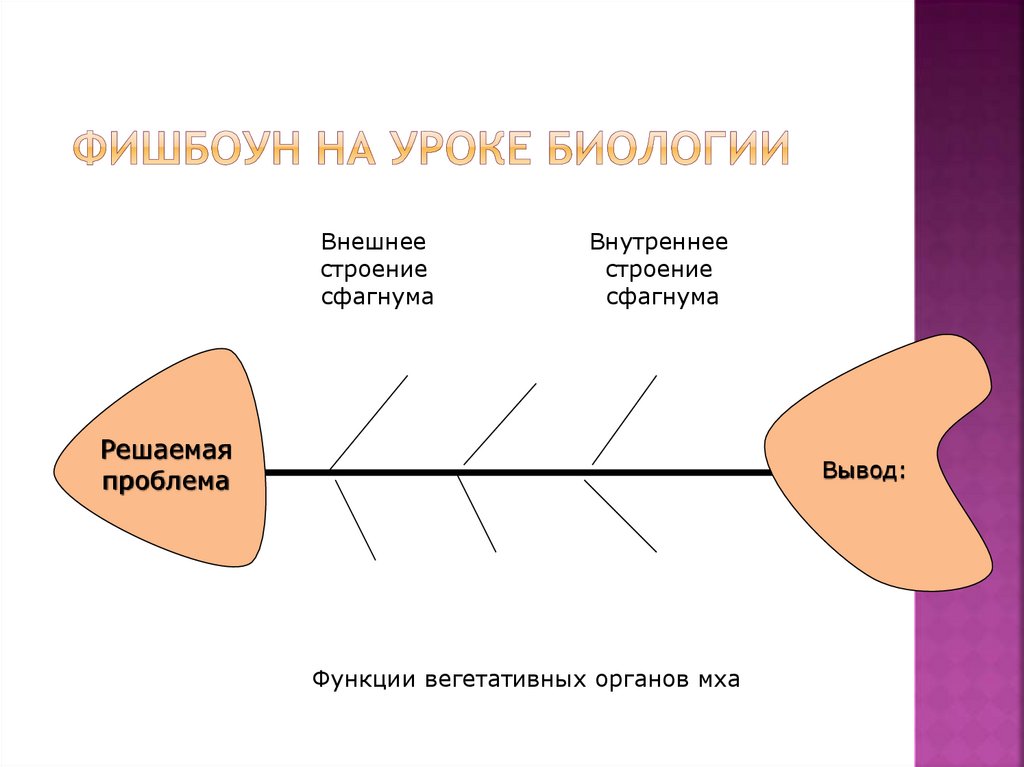 Метод фишбоун