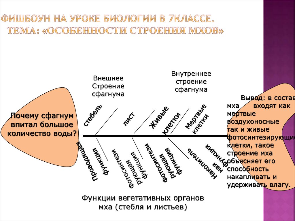 Схемы на уроках истории