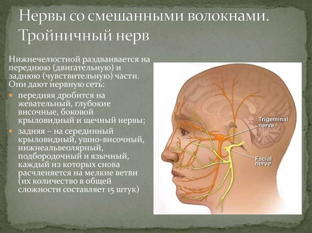 Троичный лицевой нерв воспаление. Тройничный нерв. Лицевойтройничный НКРВ. Лицевой и тройничный нервы. Невралгия лицевых нервов.