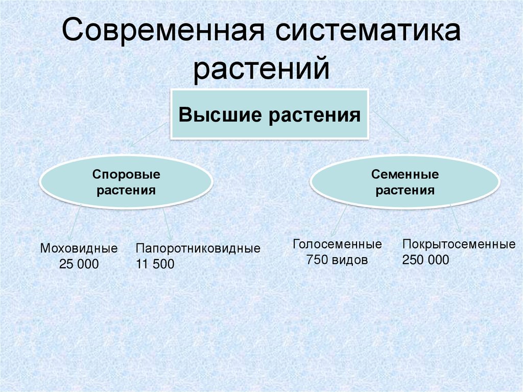 Презентация происхождение растений