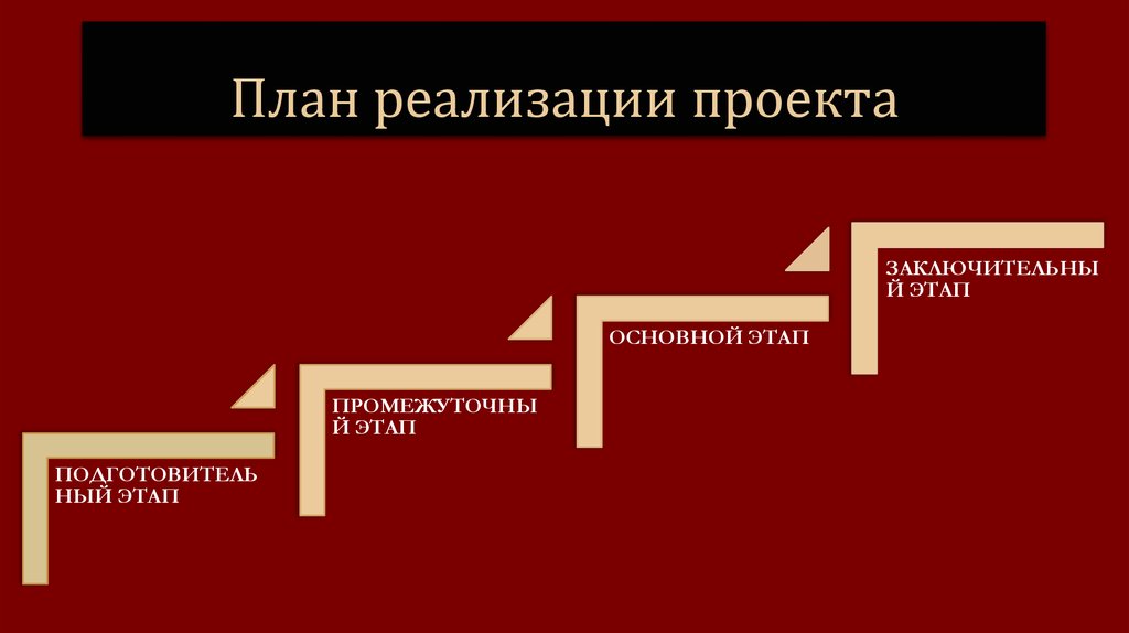 Общий план реализации проекта