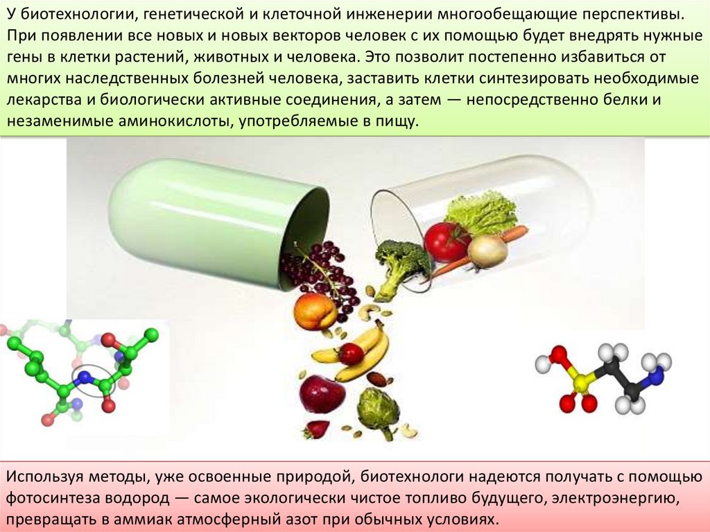 Курсовая работа по биотехнологии образец