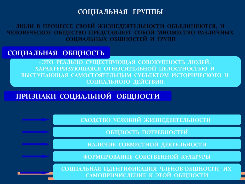 Виды социальных людей