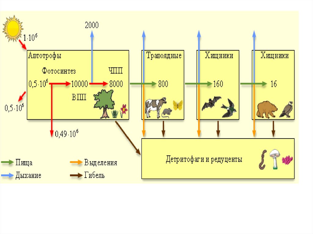 По цепям питания передается