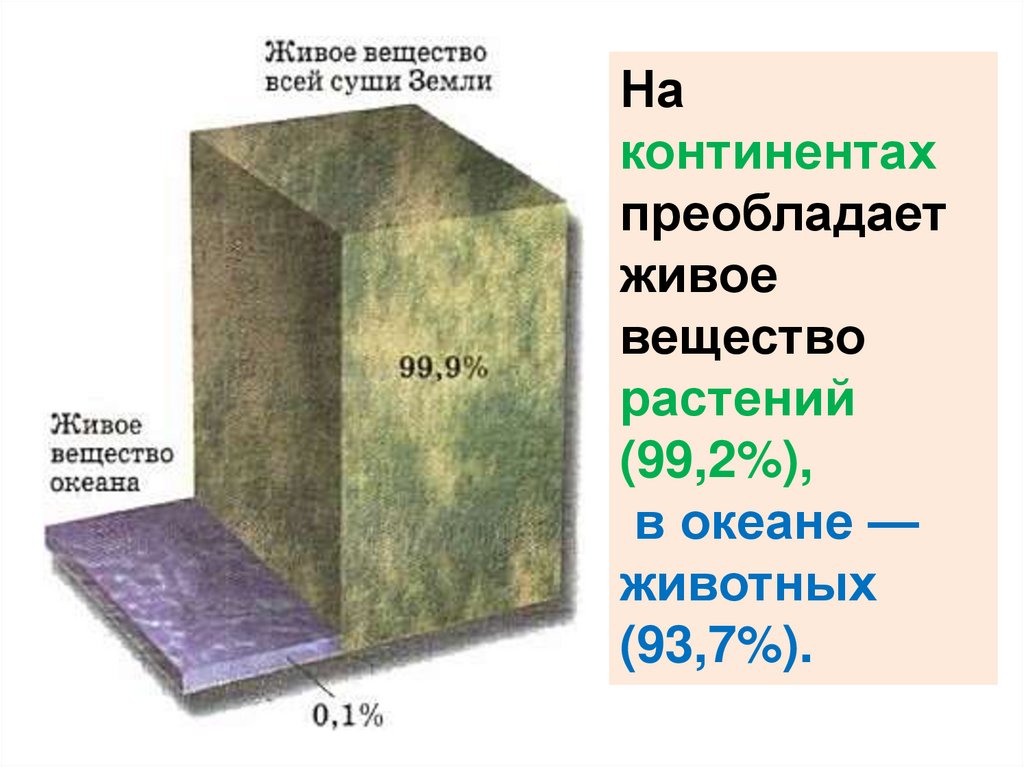 Большинство организмов. Масса живых организмов на суше и в океане. Масса живого вещества. Распределение живого вещества в биосфере. Масса живого вещества в биосфере.