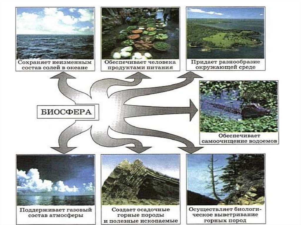 Как я осознаю себя частью биосферы. Способы сохранения биосферы. Схема связь биосферы. Схема взаимодействия биосферы с другими оболочками. Взаимосвязь биосферы с другими оболочками земли схема.