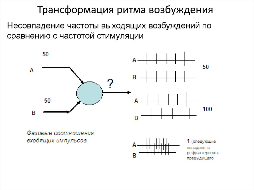 Иррадиация шума