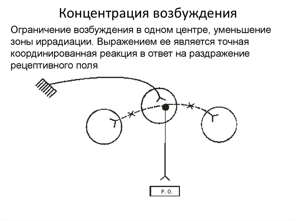 Содержание возбуждение. Содержание возбуждение