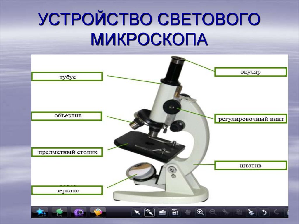 Какую часть работы выполняет окуляр. Микроскоп строение микроскопа. Световой микроскоп строение. Строение микроскопа макровинт. Строение микроскопа 6 класс.