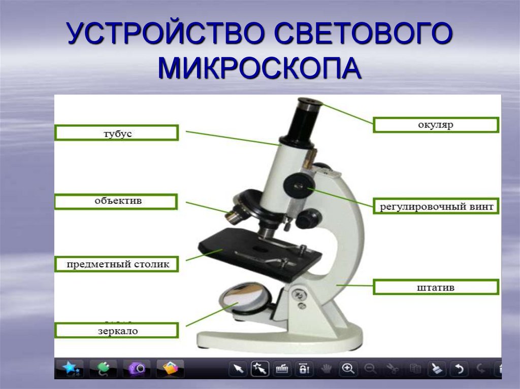 Как называется микроскоп