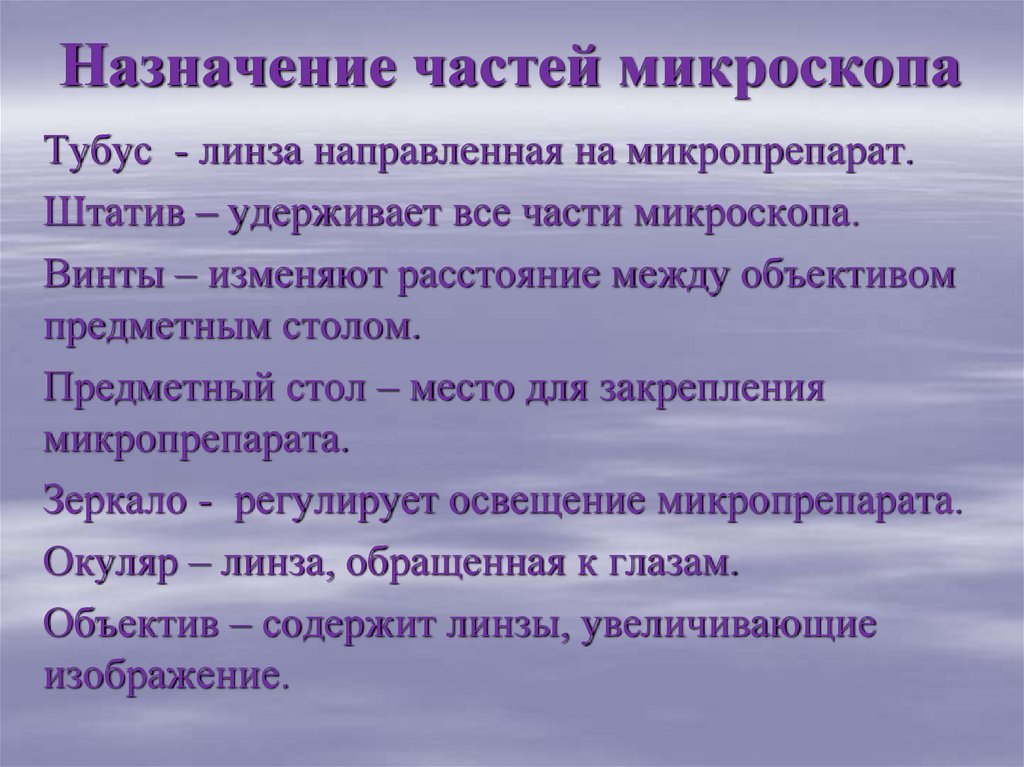 Назначение частей микроскопа