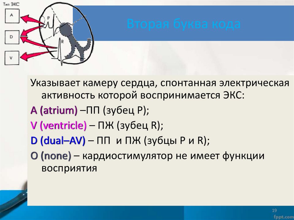 Образец верткости 3 буквы