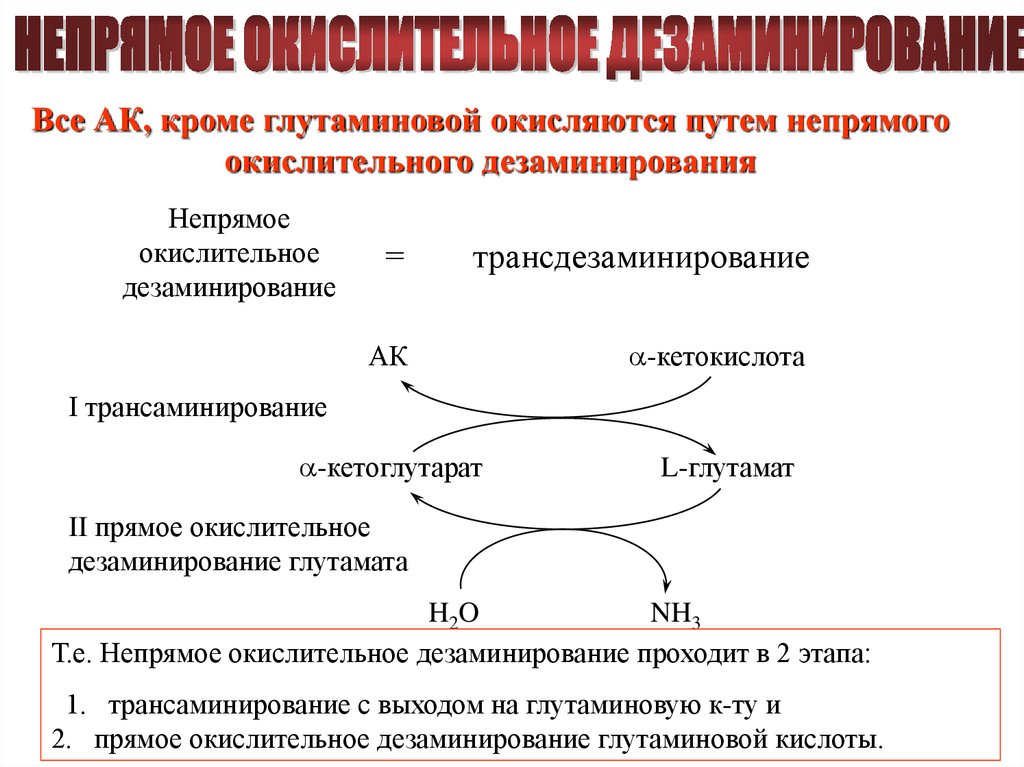 В результате дезаминирования образуется