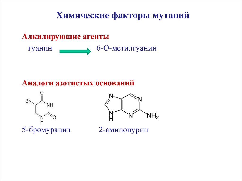 Факторы мутации. Химические факторы мутаций.