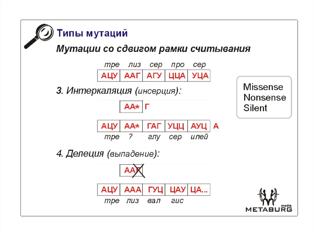 Открытая рамка считывания это. Мутация сдвига рамки считывания. Сдвиг рамки считывания. Смещение рамки считывания. Мутации без сдвига рамки считывания.