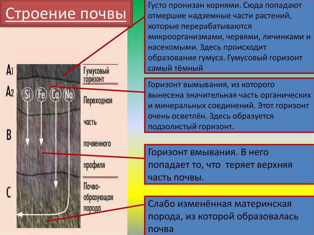 По рисунку 55 сравните как проходят границы