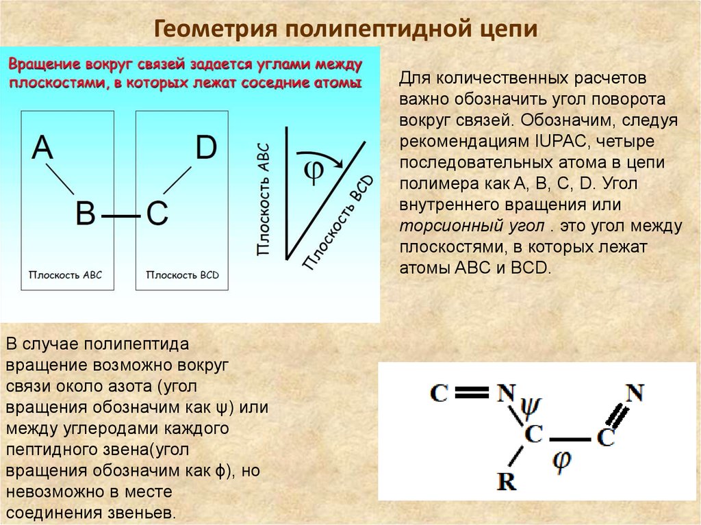 Связь c n. Углы вращения полипептидной цепи. Углы вдоль главной полипептидной цепи. Углы внутреннего вращения полипептидной цепи. Торсионные углы пептидной связи.