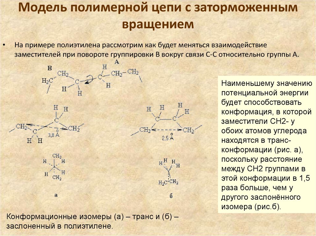 Цепочка полимера