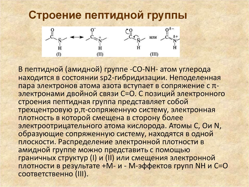 Выберите изображение пептидной связи