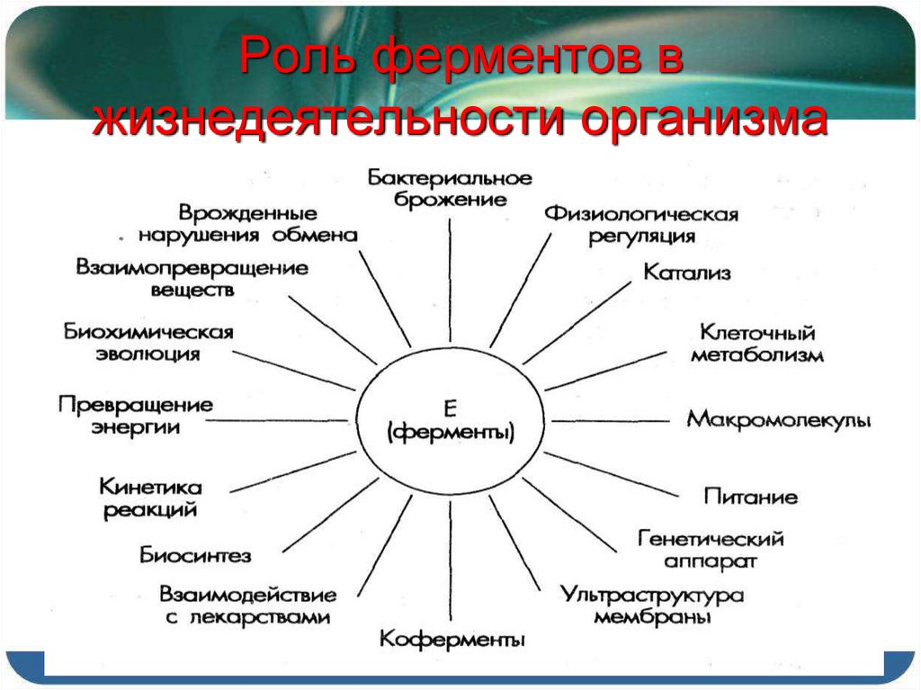 Ферменты и гормоны картинки