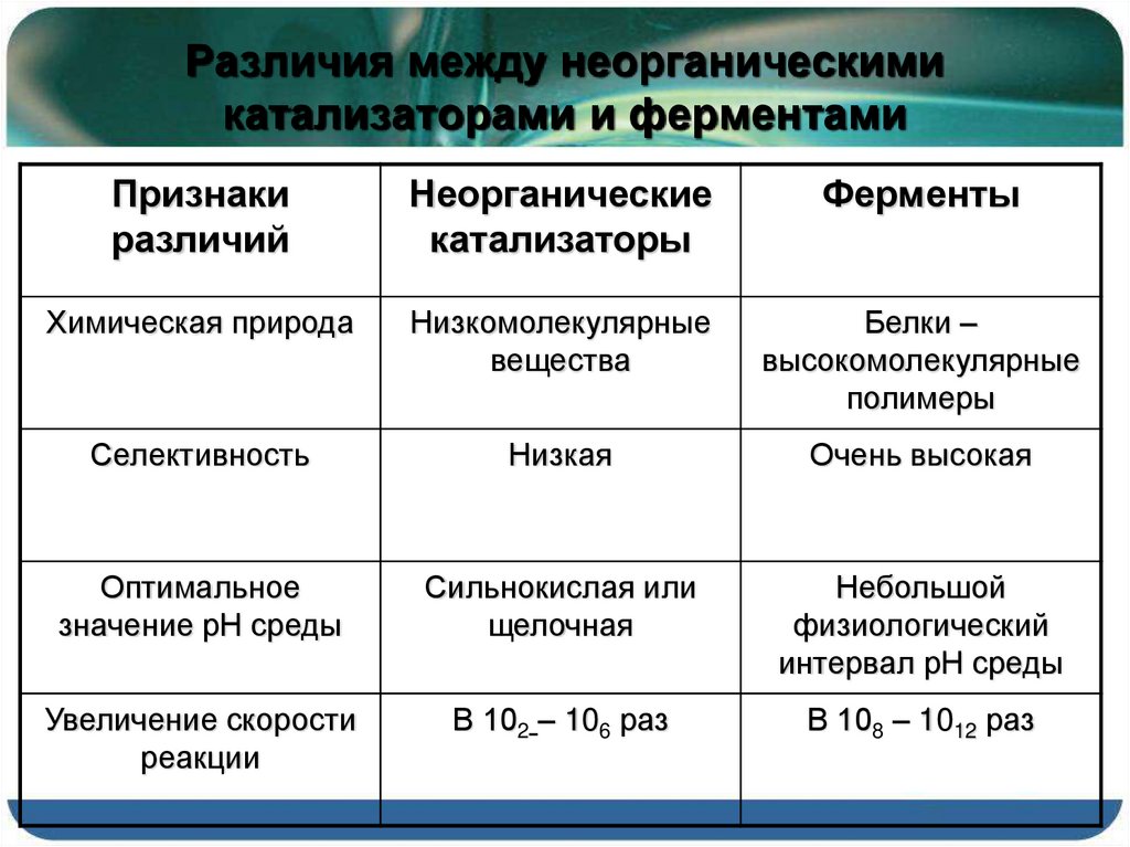 Ферменты отличия. Сходство между ферментами и неорганическими катализаторами. Сравнительная таблица ферментов и катализаторов. Сходства и различия ферментов и биологических катализаторов. Таблица сходства и отличия неорганических катализаторов и ферментов.