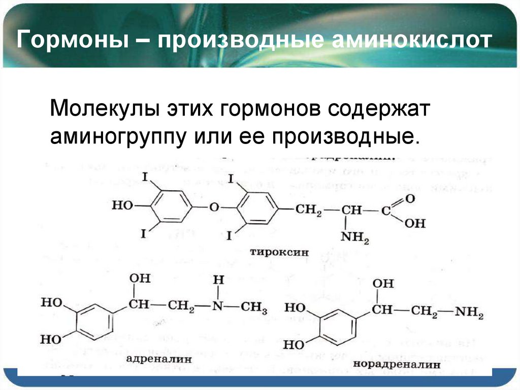 Презентация ферменты витамины гормоны лекарства 10 класс химия