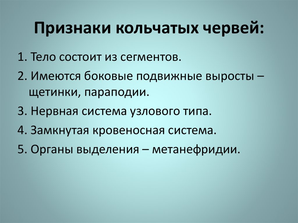 Тип кольчатые классы