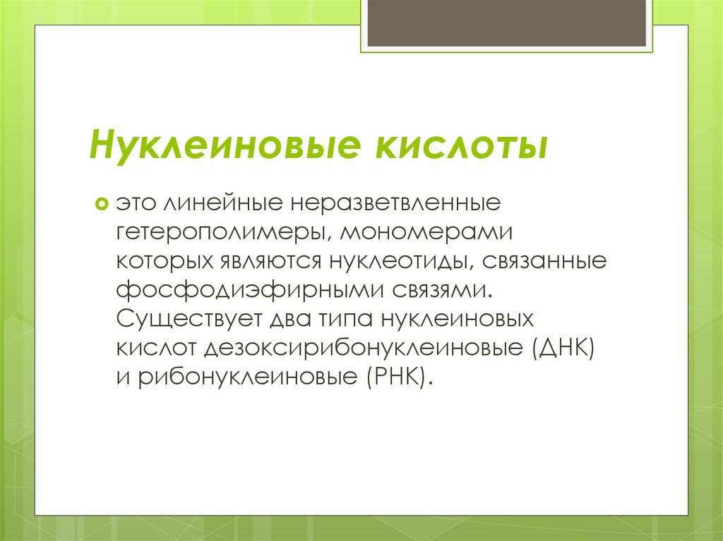 Нуклеиновые кислоты