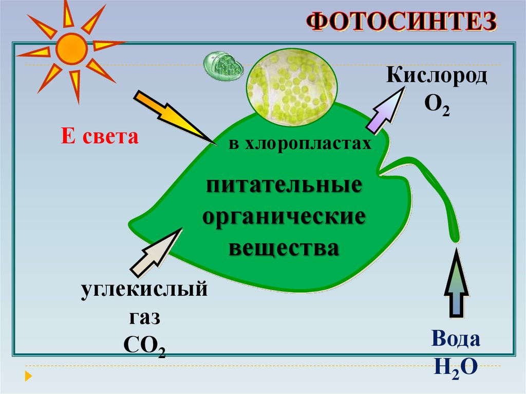 Вдыхаемый воздух кислород и углекислый газ