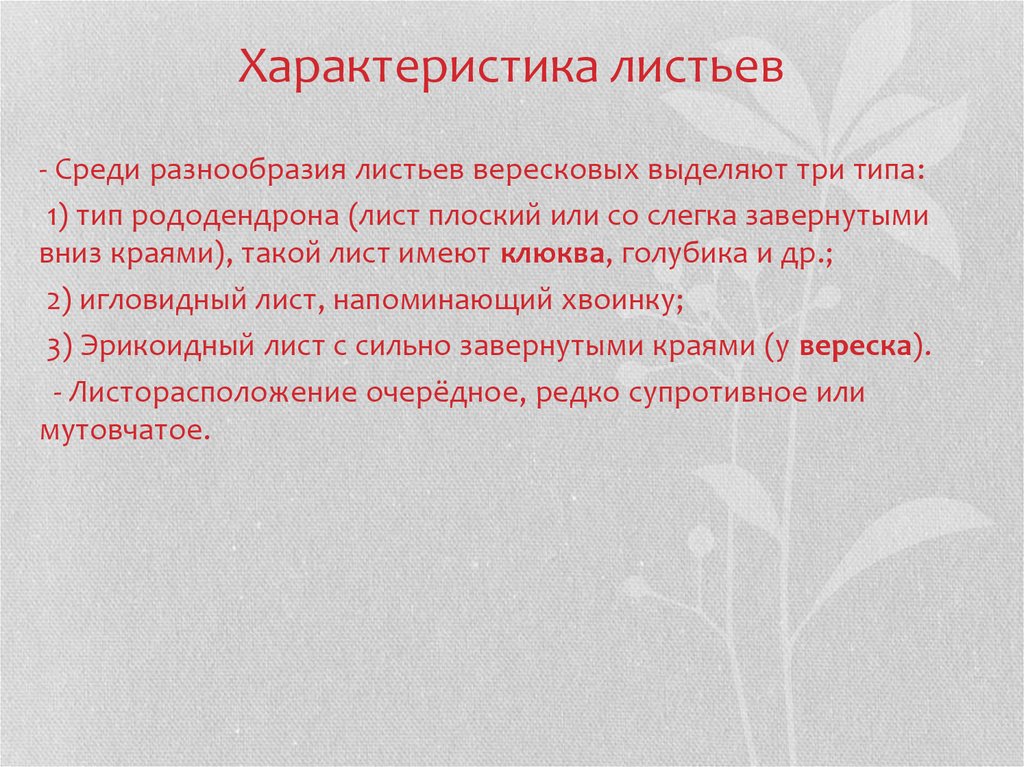 Характеристика листьев