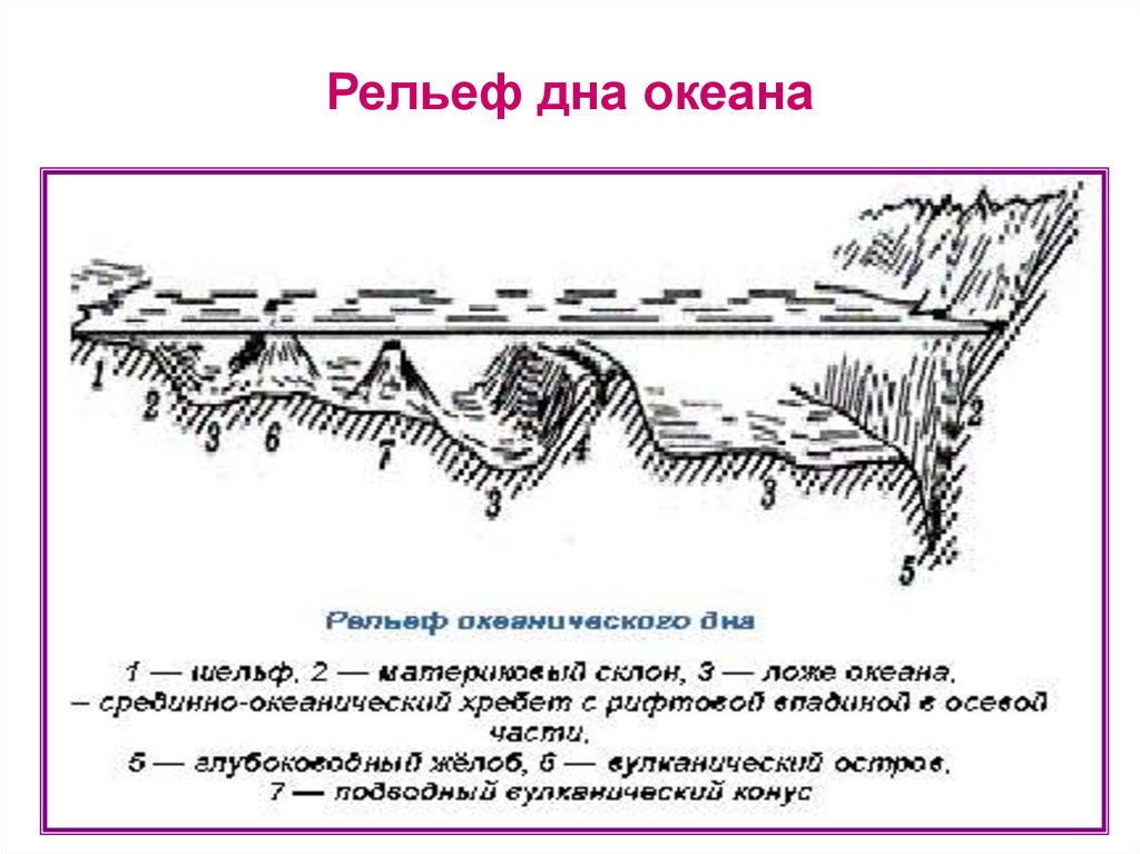Части дна океана. Схема строения рельефа дна. Схема рельефа океанического дна. Строение рельефа дна мирового океана. Рельеф дна океанов схема.