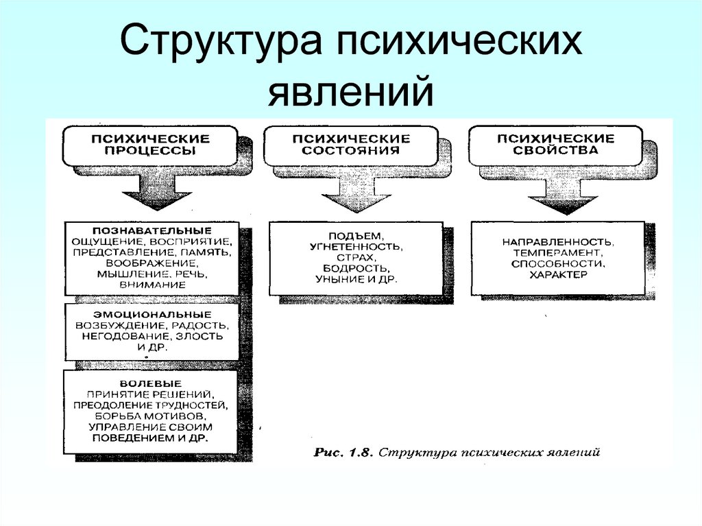 Психические структуры. Структура психологических явлений. Таблица психические процессы психические состояния. Психические явления структура психических явлений. Процессы свойства состояния в психологии.