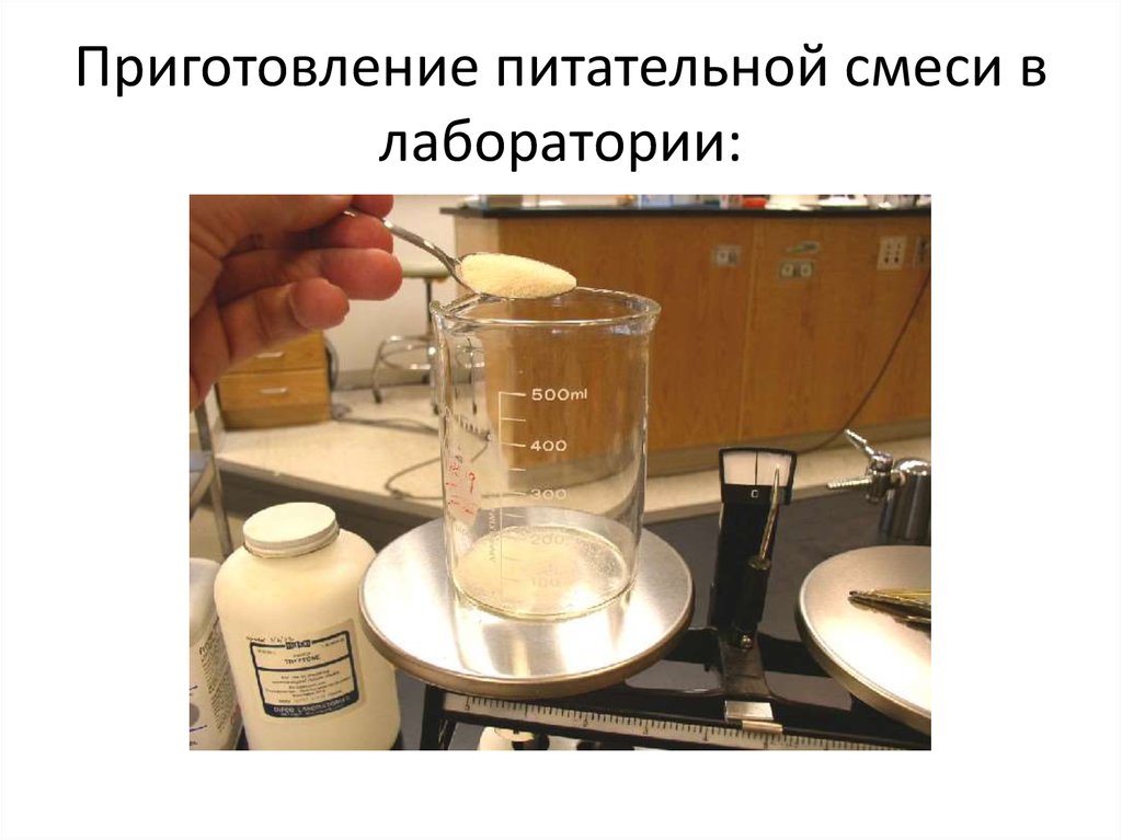 Приготовление питательной смеси в лаборатории: