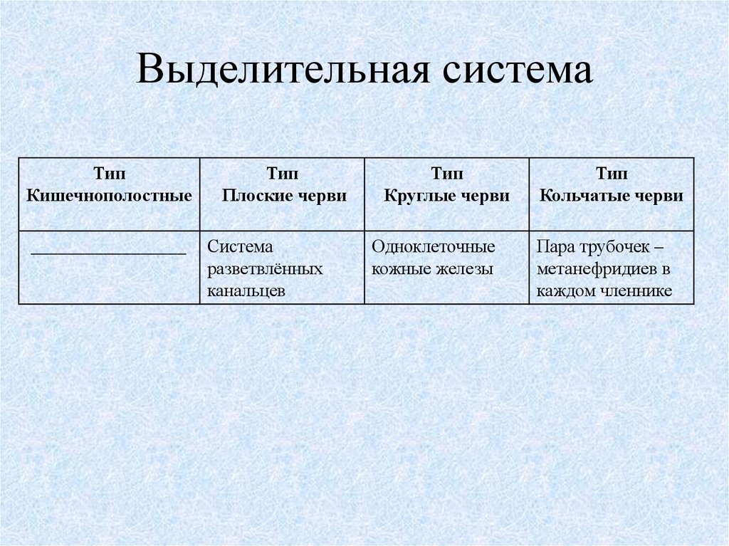 Тип плоские круглые. Выделительная система у плоских червей таблица. Выделительная система плоских червей 7 класс таблица. Выделительная система червей таблица. Выделительная система кольчатых червей 7 класс таблица.