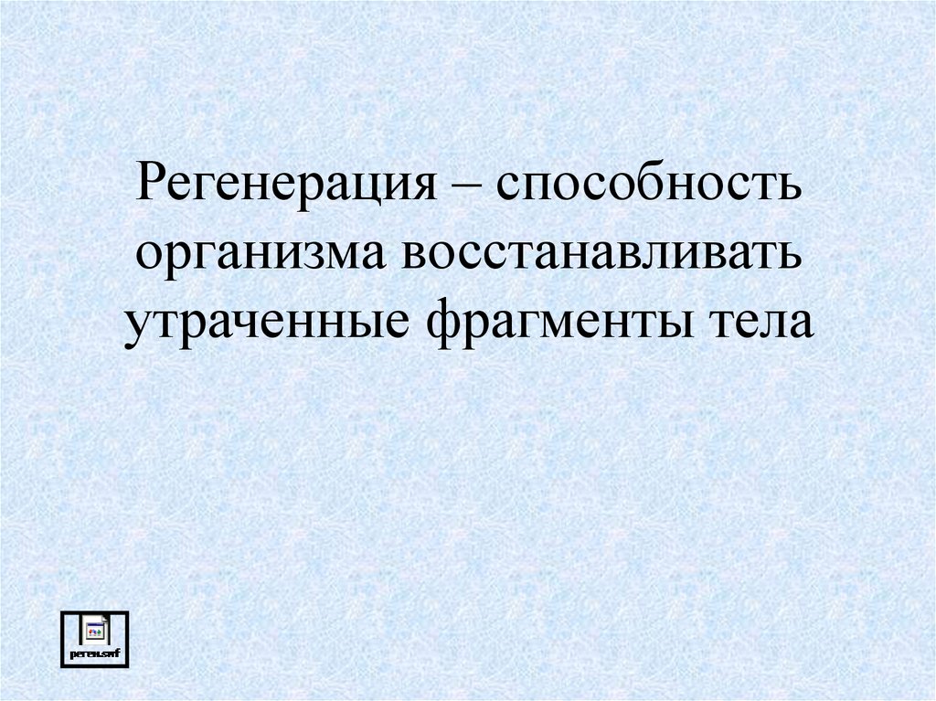 Процесс восстановления утраченных частей