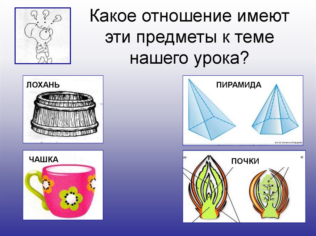 На вопрос какое отношение имеет. Какое отношение имеют эти предметы к теме нашего урока. Почка лохань чашка пирамида. Лохань. Тема нашего урока.