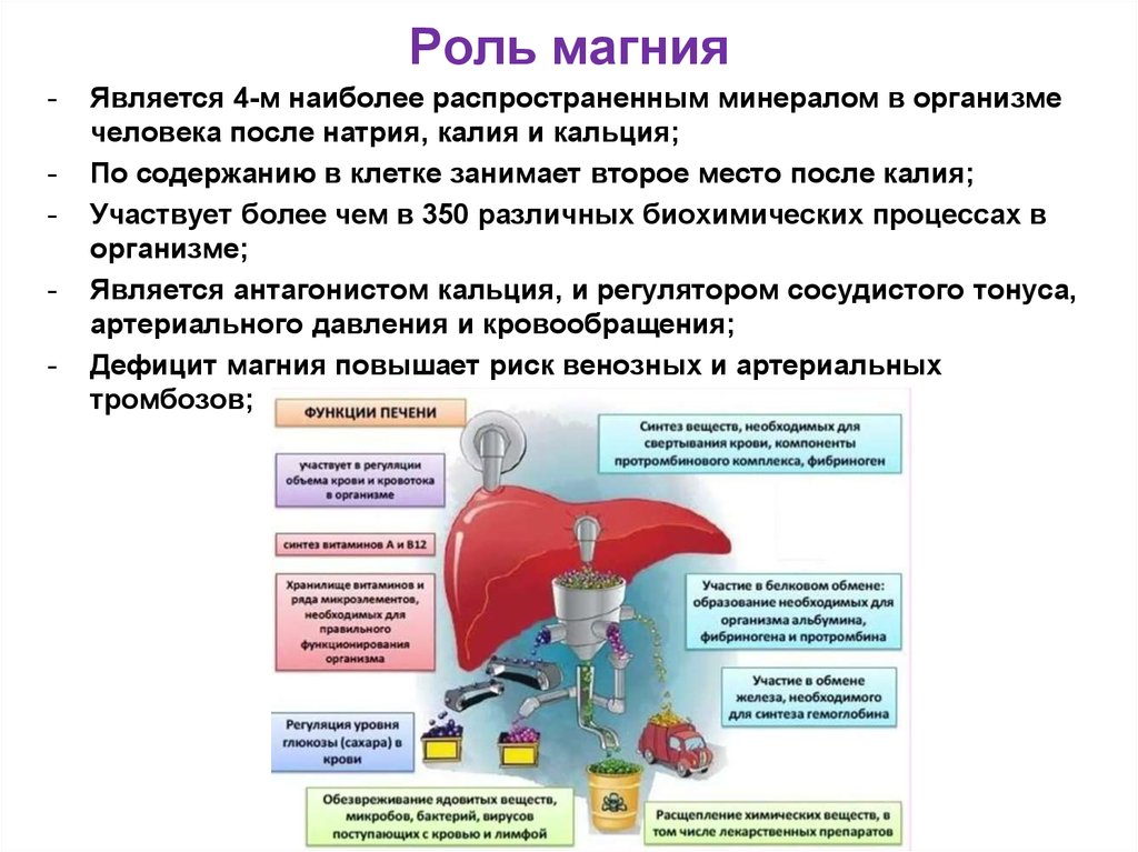 Действие магнезии на организм. Биологические функции магния в организме человека. Биологическая роль магния в организме человека кратко. Биологическое значение магния.