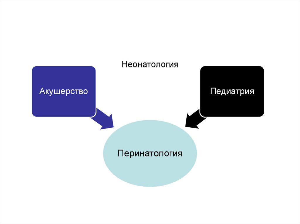 Перинатология негіздері презентация